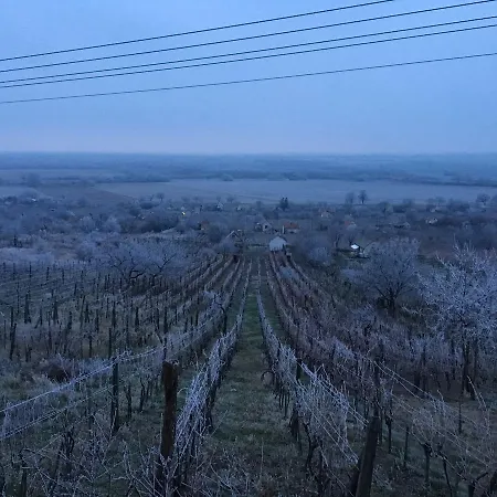 Inhauser Pinceszet Гостевой дом Somloszolos